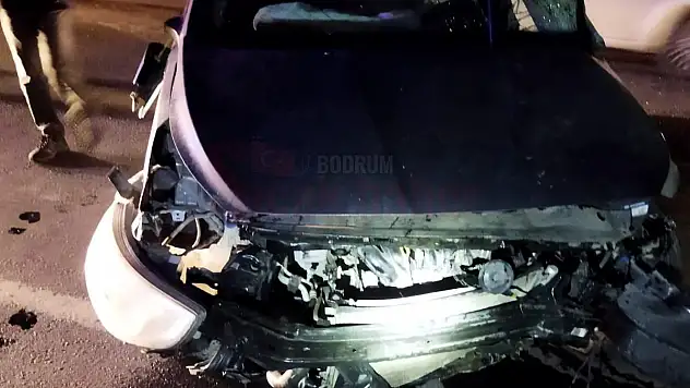 Genç Veteriner Kazada Yaşamını Yitirdi