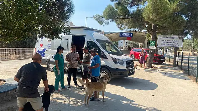 Gezici Sağlık Aracı Hizmeti, sokak Hayvanlarının Sağlık İhtiyaçlarına Yönelik Önemli Bir Adım