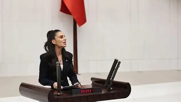 Gizem Özcan Selimiye'yi Meclis'e taşıdı