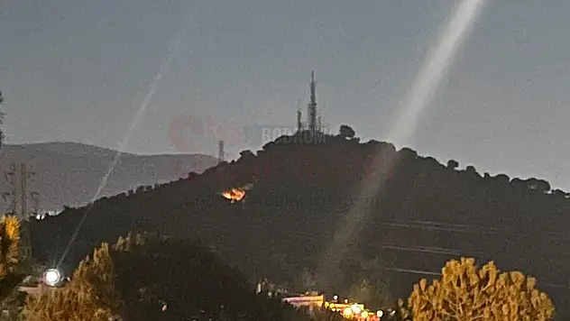 Göktepe Mevkiinde Yangın Çıktı