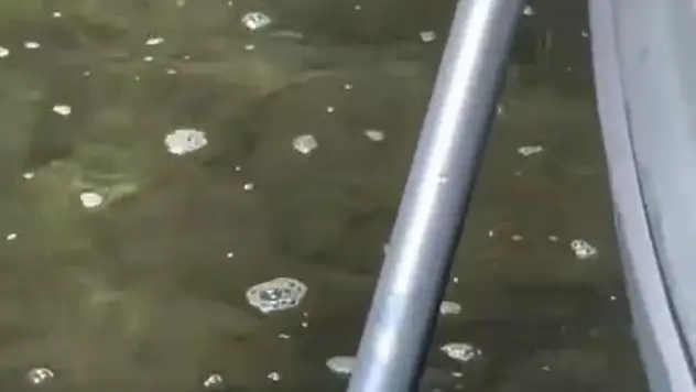 Gölköy Sahiline Sintine Kirliliği! Melek Baykal Tepki gösterdi