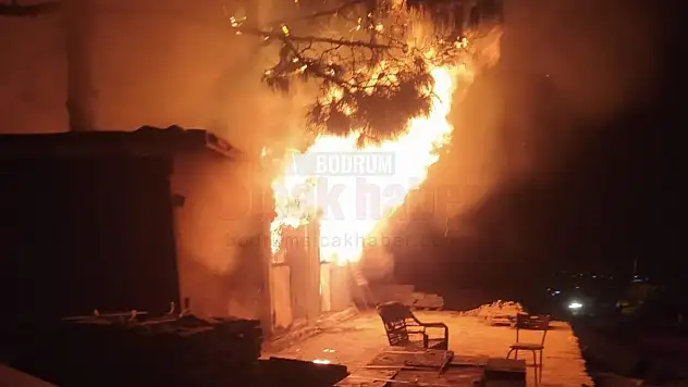 Gölköy'de Korkutan Yangın