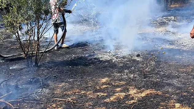 Gümüşlük'te Yangın Paniği! Ot Yangını Hızla Söndürüldü