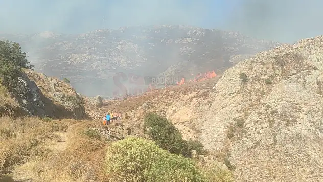 Gümüşlük'de Yangın Söndürme Çalışmaları Devam Ediyor