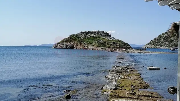 Gümüşlükte 3500 Yıllık Kral Yolu Meydana Çıktı