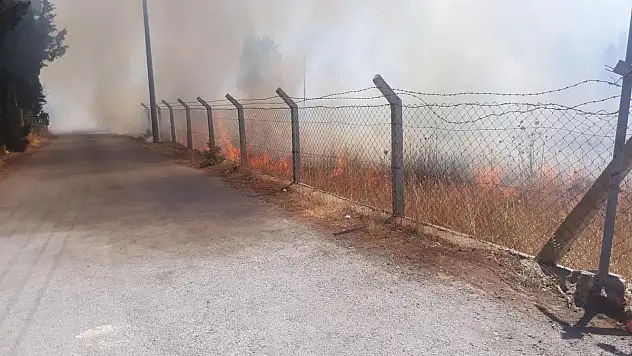 Gümüşlükte Çıkan Yangın Kontrol Altına Alındı