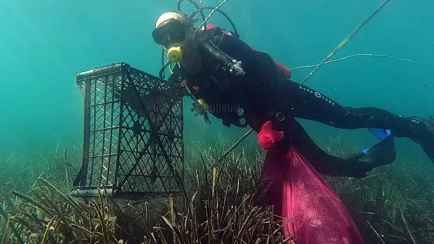 Gümüşlük'te Deniz Dibi Temizlendi