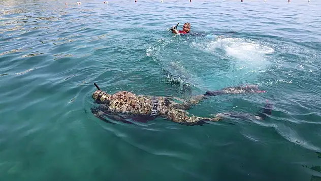 Gündoğan'da Deniz Dibi Temizliği Yapıldı