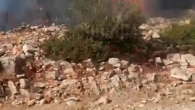 Güvenlik Görevlisi Dalgınlıkla Ormanı Yaktı