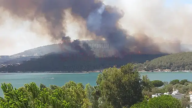 Güvercinlik'te çıkan orman yangını kontrol altına alındı