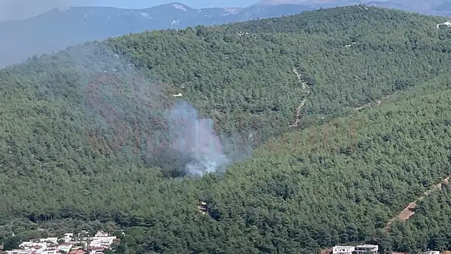 Güvercinlikte Orman Yangını