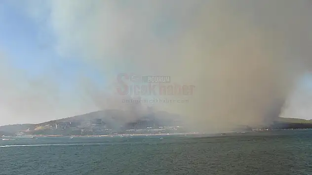 Güvercinlik'te Orman Yangını. Lüks Otellere Sıçrayan Yangın Korku Yarattı