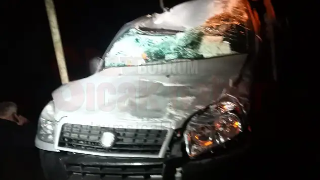 Güvercinlikte Taklalar Atan Araçtan Yaralı Olarak Kurtuldu