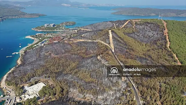 Güvercinlik'teki yangında zarar gören 80 hektarlık ormanlık alan havadan görüntülendi