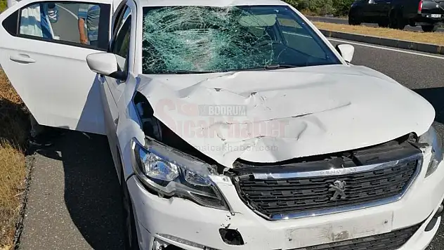 Hastaneye Giderken Otomobilin Çarptığı Kadın Hayatını Kaybetti