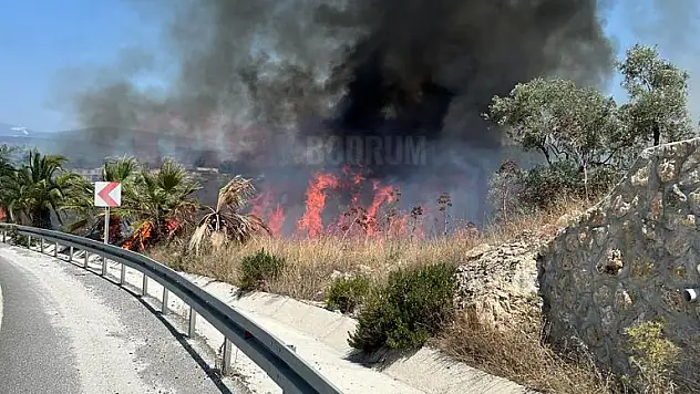 Havaalanı Kavşağında Yangın Başladı