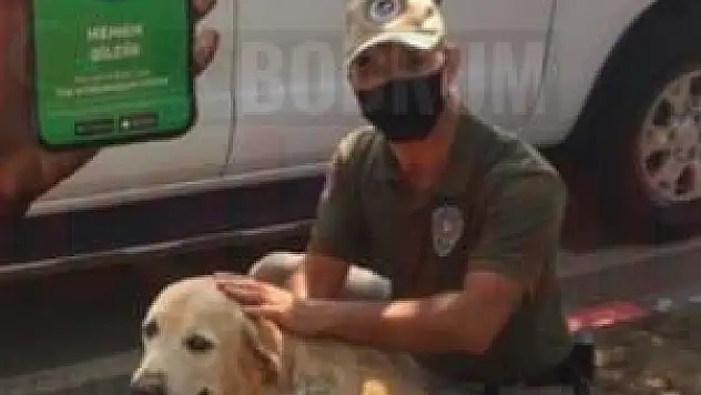 'HAYDİ' Hayvan Durum İzleme Mobil Uygulaması Hayata Geçirildi.