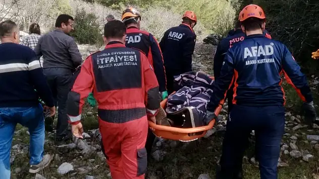 Hayvan otlatırken kayalıklardan düştü