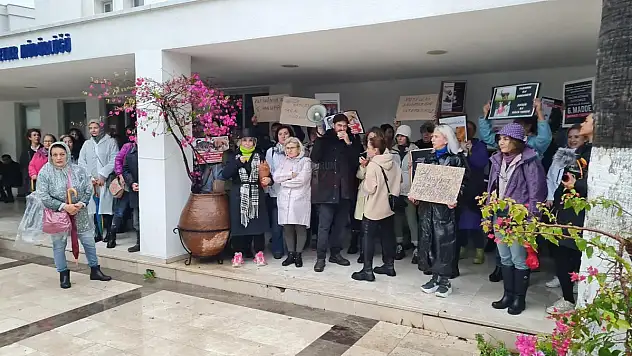 Hayvan Severler 81 İlde Eş Zamanlı Sokak Hayvanları İçin Eylem Yaptı