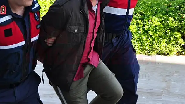 Hayvanları Uyutup Çalan Hırsızlar Yakalandı