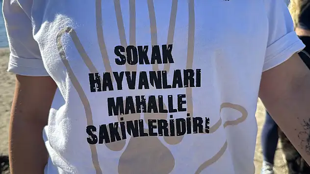 Hayvanseverlerden 'can dostları sahiplendirmek için' seferberlik