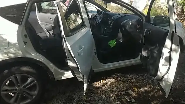 Hayvanseverlere ruh hastası dedi