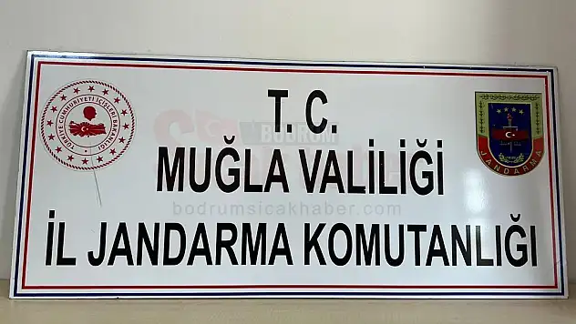 Hırsızlık Operasyonunda 1 Şüpheli Yakalandı