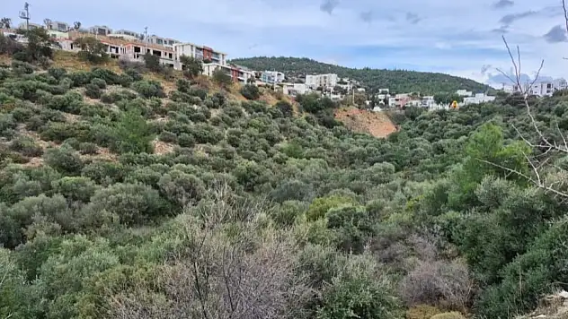 Huzurevi projesine meclis onayı