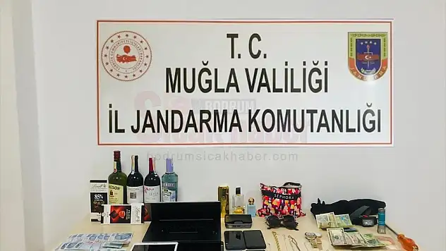 İki Evden Hırsızlık Yaptığı İddia Edilen Şüpheli Tutuklandı