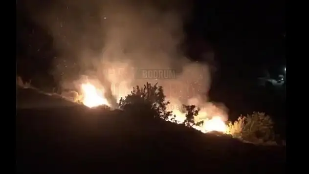 İşaret Fişeği Yangına Sebep Oldu