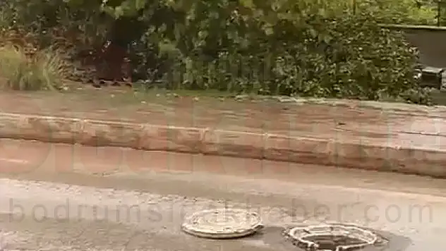 İşlek Yolda Açık Kalan Kapak Kazaya Davetiye Çıkartıyor