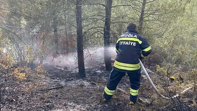 İtfaiye Amirliği Orman Yangınına Müdahale Etti