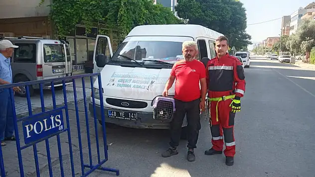 İtfaiye Mahsur Kalan Kediyi Kurtardı