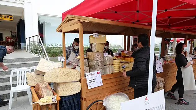 IV.ULUSLARARASI PEYNİR FESTİVALİ BODRUM'DA BAŞLADI