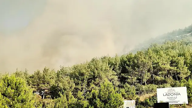 İzmir'den Başlayan Yangın Muğla'ya Sıçradı