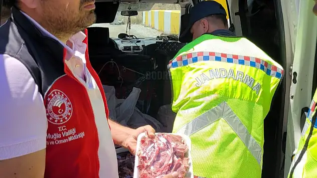 Jandarma 300 Kilo Kaçak Et Yakaladı