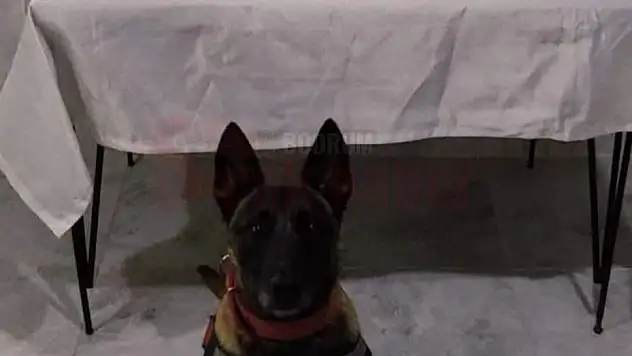 Jandarma Denetimlerinde Üç Şahsın Üstünde Uyuşturucu Madde Bulundu