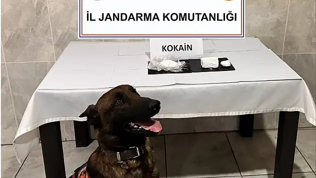 Jandarmanın yol kontrolünde kokain taşıyan yolcu yakalandı