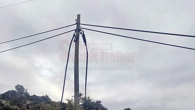 Kablo Hırsızlığı İddiasıyla 2 Zanlı Tutuklandı