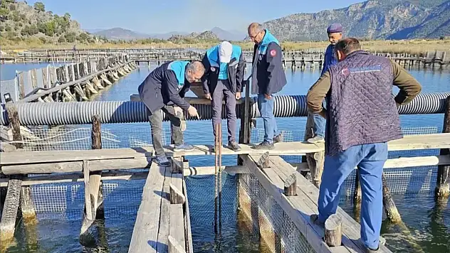 Kaçak av araçlarına el konuldu