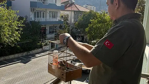 Kaçak Avcılık Yapan Kişiye Para Cezası Kesildi