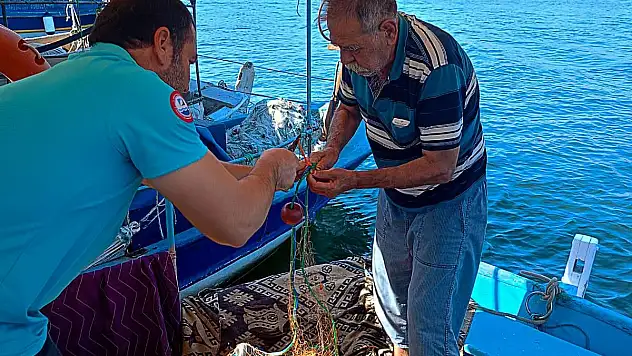 Kaçak Balıkçılığa Karşı Etkin Mücadele Başlatıldı