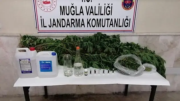 Kaçak İçki, Kenevir ve Uyuşturucu Madde Ele Geçirildi