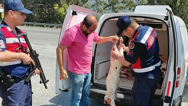 Kaçak Kesim Havyan Eti Yakalandı
