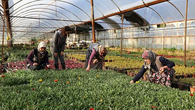Kadın emeğiyle yerel kalkınmada yeni bir dönem başlıyor