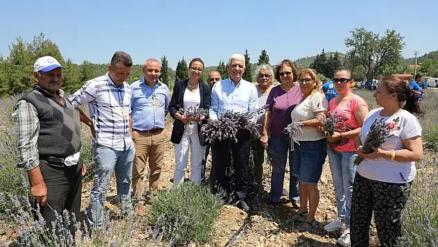 Kadın Üreticilere 97 Bin 500 Adet Tıbbi Aromatik Fidanı Dağıtıldı