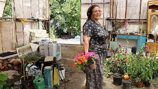 Kadın Üreticilerin Ürettiği Çiçekler Muğla'yı Ve Komşu İlleri Renklendirmeye Devam Ediyor.
