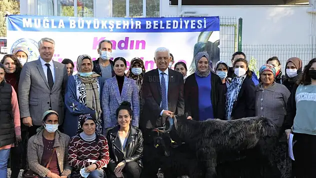 Kadın Üreticiye 798 Kıl Keçisi Dağıtılacak