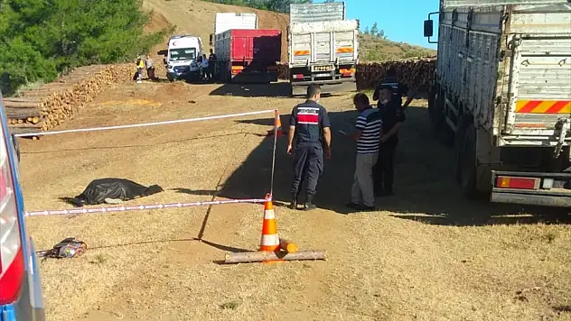 Kamyonun ezdiği orman işçisi hayatını kaybetti