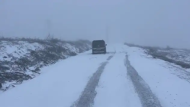 Kar yağışı nedeniyle araçlar mahsur kaldı